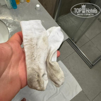 фото из отзыва ID 2731980