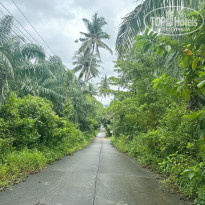 фото из отзыва ID 2731983