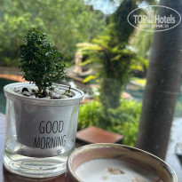 фото из отзыва ID 2731983