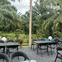 фото из отзыва ID 2731983