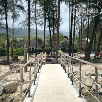 фото из отзыва ID 2731983