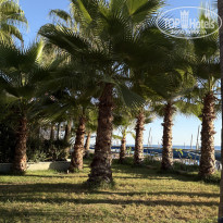 фото из отзыва ID 2731994