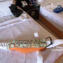 фото из отзыва ID 2732017