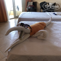 фото из отзыва ID 2732017