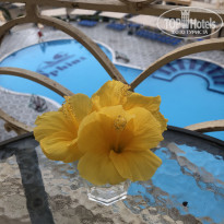 фото из отзыва ID 2732017