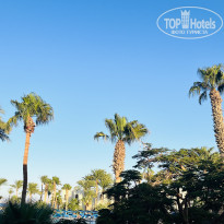 фото из отзыва ID 2732021