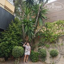 фото из отзыва ID 2731977