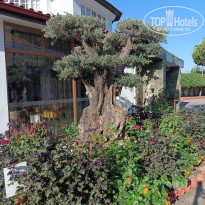 фото из отзыва ID 2732039