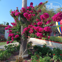 фото из отзыва ID 2732039