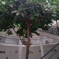 фото из отзыва ID 2732039