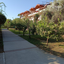 фото из отзыва ID 2732039