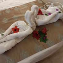 фото из отзыва ID 2732039