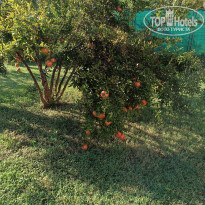 фото из отзыва ID 2732039