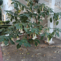 фото из отзыва ID 2732039