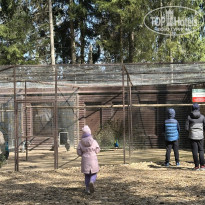 фото из отзыва ID 2732047