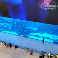 фото из отзыва ID 2732073