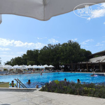 фото из отзыва ID 2731981