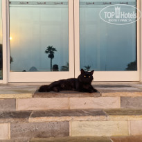 фото из отзыва ID 2732080