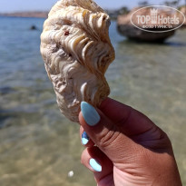 фото из отзыва ID 2732079