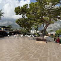 фото из отзыва ID 2732087