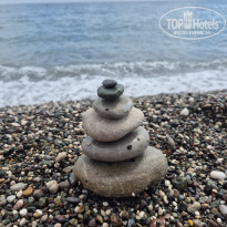 фото из отзыва ID 2732103