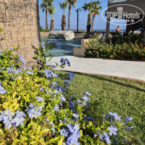 фото из отзыва ID 2732103