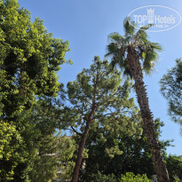 фото из отзыва ID 2732103