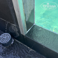 фото из отзыва ID 2732104