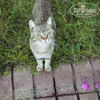 фото из отзыва ID 2732122