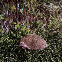 фото из отзыва ID 2732123