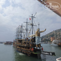 фото из отзыва ID 2732132