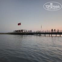 фото из отзыва ID 2732132