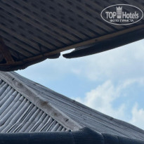 фото из отзыва ID 2732107