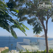 фото из отзыва ID 2732145