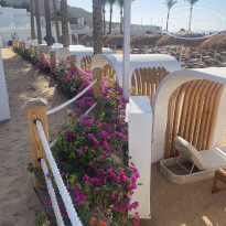 фото из отзыва ID 2732145