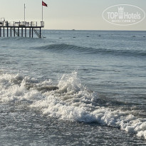 фото из отзыва ID 2732156