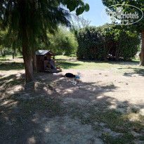 фото из отзыва ID 2732191