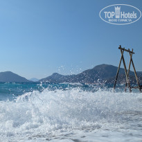 фото из отзыва ID 2732198