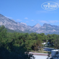 фото из отзыва ID 2732205