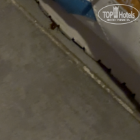 фото из отзыва ID 2732240