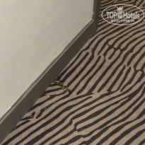 фото из отзыва ID 2732240