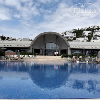 фото из отзыва ID 2732229