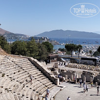 фото из отзыва ID 2732229