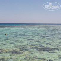 фото из отзыва ID 2732248