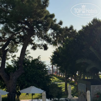 фото из отзыва ID 2732262