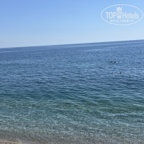 фото из отзыва ID 2732274