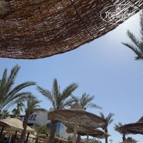 фото из отзыва ID 2732300