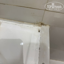 фото из отзыва ID 2732304