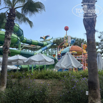 фото из отзыва ID 2732319