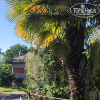 фото из отзыва ID 2732323